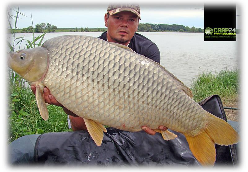 Continuare  - al-treilea-crap-mare-al-partidei-un-crap-comun-de-1604-kg1111.jpg